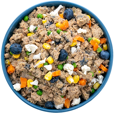 Food Bowl - Best Dog Food Recipes
