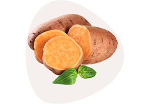 Sweet Potato